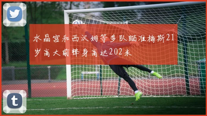 水晶宫和西汉姆等多队瞄准梅斯21岁高大前锋身高达202米