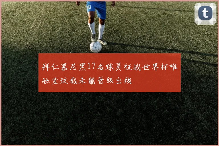 拜仁慕尼黑17名球员征战世界杯唯独金玟哉未能晋级出线